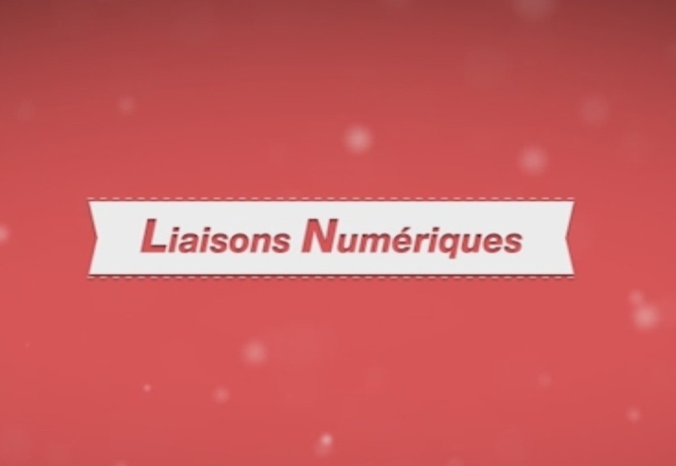 Liaisons Numériques